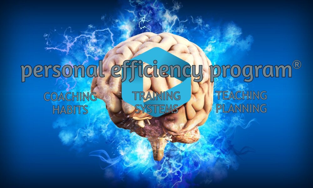 PEP neuroscience